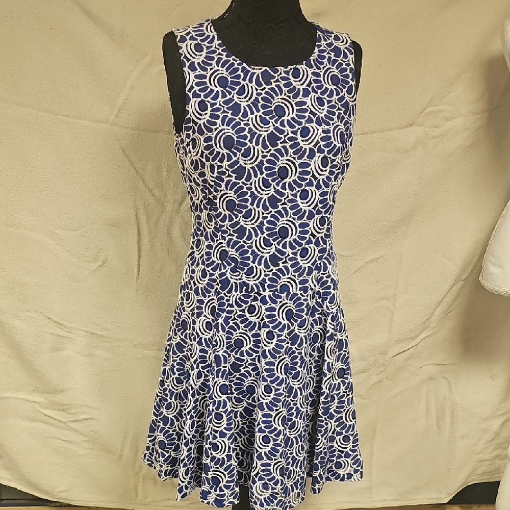 Floral Blue and White Sleeveless Dress